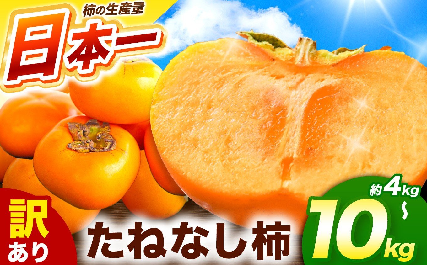 
            訳あり たねなし柿 大人気 選べる４kg / 7k / g10kg | 種無し たねなし 柿 フルーツ 果物 くだもの カキ かき 農家直送 家庭用 フードロス 秋の味覚 旬 大小混合 奈良県 五條市 まろやか 食べやすい 種なし やさしい 甘さ 大容量 こだわり 産地直送 10月 秋 旬 自宅用 グルメ お取り寄せ 送料無料 高評価 わけあり 訳アリ 株式会社柳澤果樹園
          