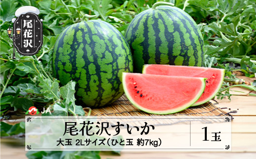 
先行予約 尾花沢すいか 2Lサイズ 約7kg×1玉 7月下旬～8月10日頃発送 2024年産 令和6年産 JA ja-su2xx1
