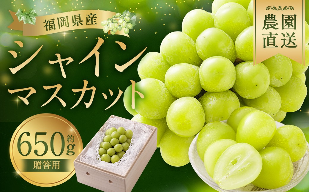 
            【贈答用】福岡県産 シャインマスカット 糖度18度以上・大粒15g以上 桐箱入り 650g前後（1房）/冷蔵 当日発送【2026年8月上旬〜9月上旬発送予定】 葡萄 ぶどう ブドウ マスカット 果物 フルーツ 国産
          