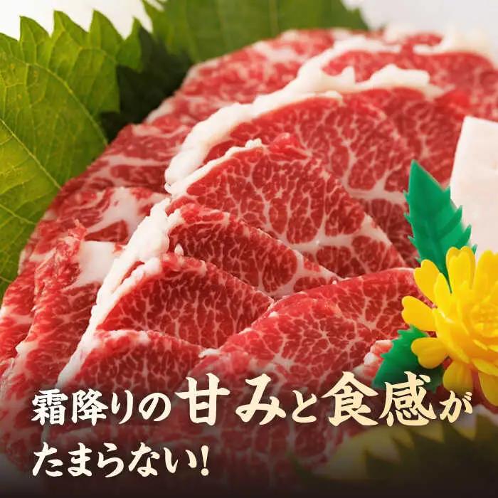 【3回定期便】特選霜降り馬刺し（中トロ）計600g（6pc）【馬刺しの郷 民守】 九州 冷凍 特選 中トロ トロ  [ZBL043]