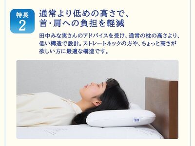エアウィーヴ ピロースリムmini 枕 まくら 洗える 洗濯可 いびき 高反発 オールシーズン対応 ギフト 母の日 父の日 敬老の日 安眠 快眠 健康 肩 首 高さ調整 熟睡 寝具 寝心 寝返り 新生