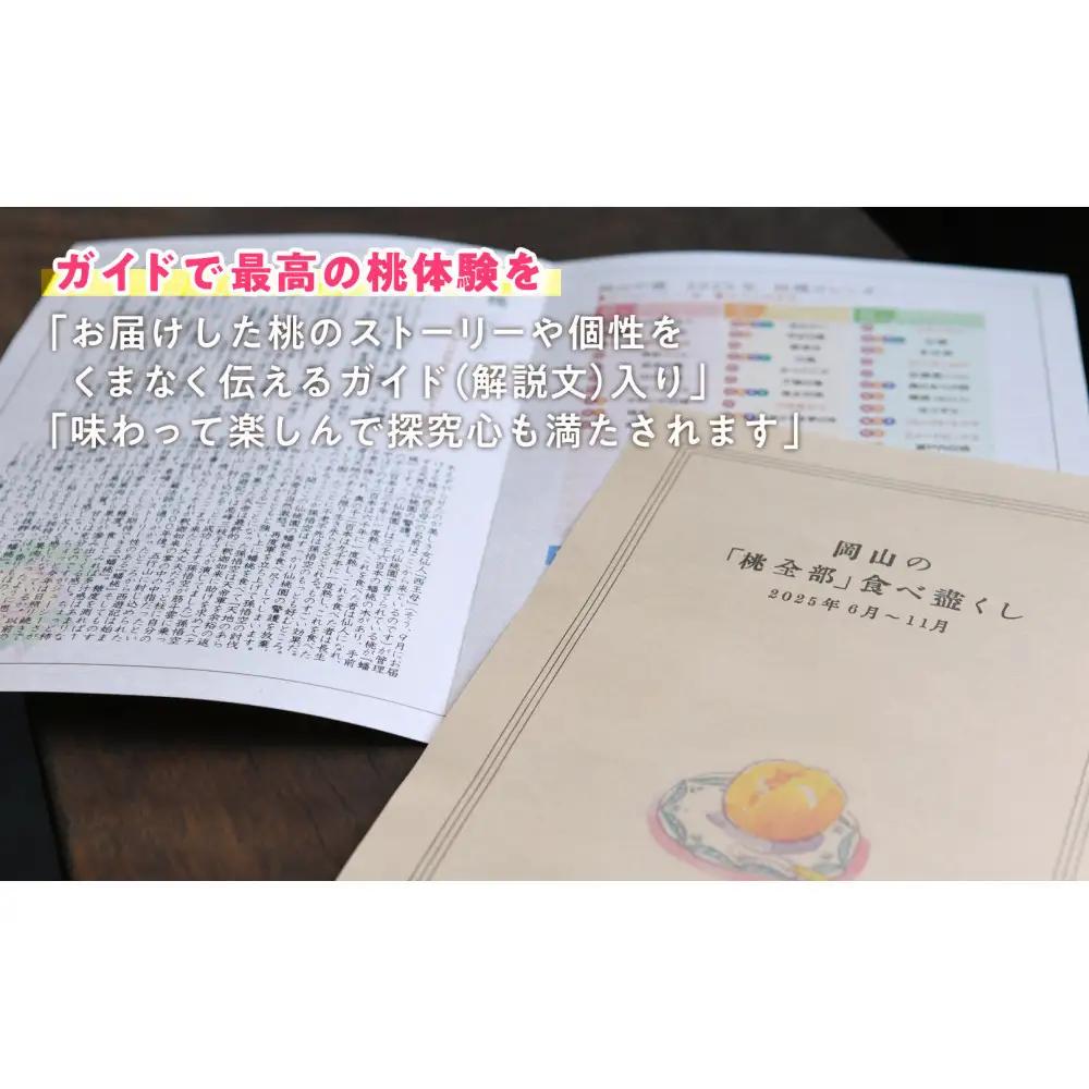 【全4回お届け】岡山の桃　8月-9月  【8月以降発送】