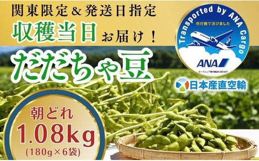 【8月6日配送】限界鮮度！「産直空輸」で当日お届け！朝採れだだちゃ豆 1.08kg（180g×6袋）　山形県鶴岡市特産