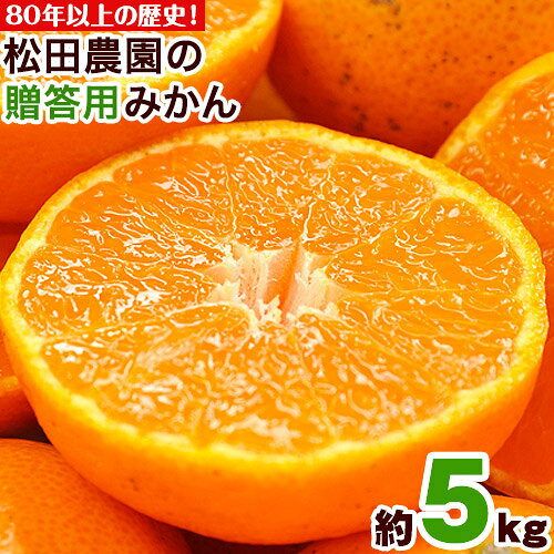 【ふるさと納税】＼先行予約スタート／松田農園 の みかん たっぷり 約5kg (S-2Lサイズ) 【日付指定不可】《11月上旬-12月下旬頃出荷》 フルーツ 秋 旬 熊本県 玉名郡玉東町 松田農園 手間暇かけたこだわりのミカン 贈答用 5キロ