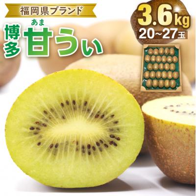 ふるさと納税 宗像市 福岡県ブランド!キウイフルーツ「博多甘うぃ」1箱約3.6kg【ほたるの里】_HA0434
