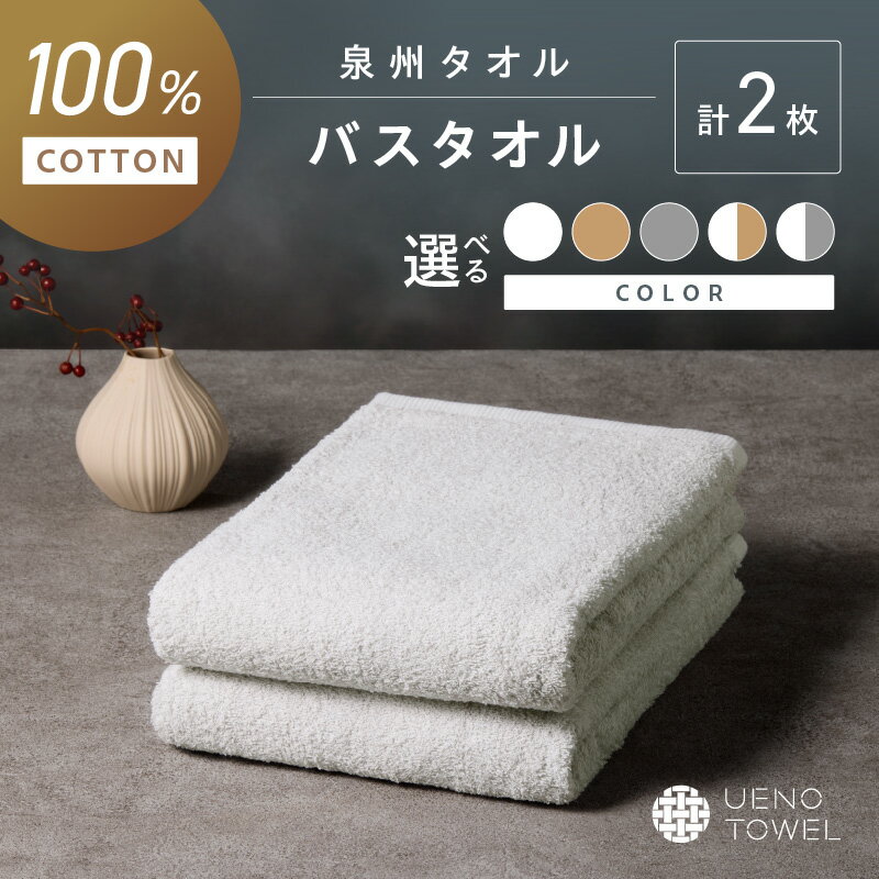 【ふるさと納税】選べるカラー！【泉州タオル】吸水力と肌触りが自慢のデイリーユースバスタオル 2枚【配送不可地域：北海道・沖縄・離島】