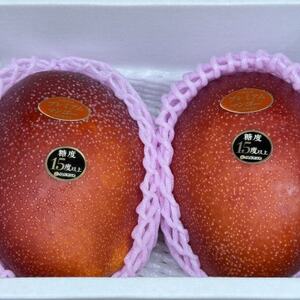 【2026年6月から順次発送・数量限定】糖度15度以上を選別した「プレミアムマンゴー」2玉【配送不可地域：離島】【1681773】