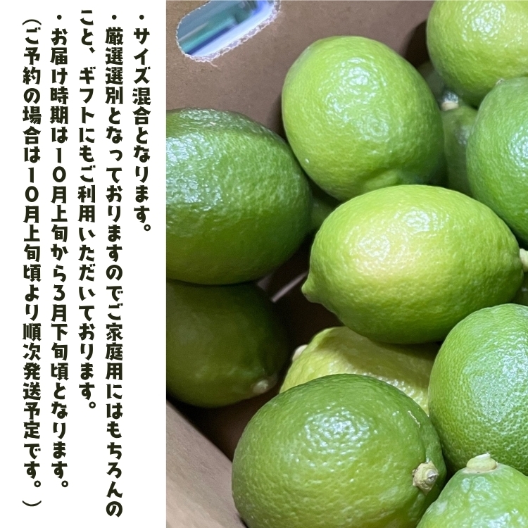 【先行予約】紀州 和歌山　有田 レモン 3kg+200g(傷み補償分) / 檸檬 柑橘 オレンジ フルーツ 果物 くだもの 旬 ※2026年9月下旬～2027年2月上旬に順次発送予定 ※北海道・沖縄・
