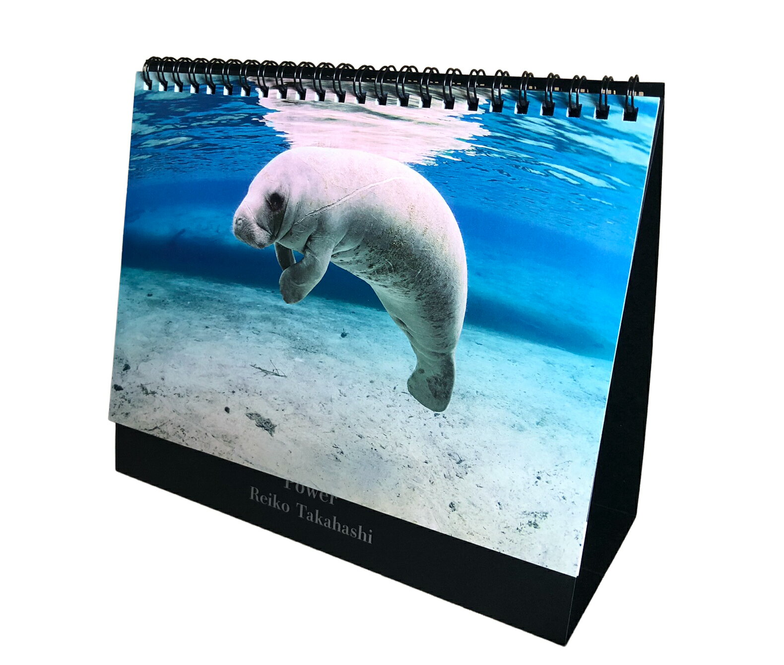 【ふるさと納税】2026年度卓上カレンダー 高橋怜子 海の絶景 水中写真家 写真集 海の絶景 ナショナルジオグラフィック 総合グランプリ受賞インテリア アート 写真家 インテリア Reiko Takahashi photography 海 写真作品 水中 世界 海洋 写真ギフト プレゼント 岩手県北上市