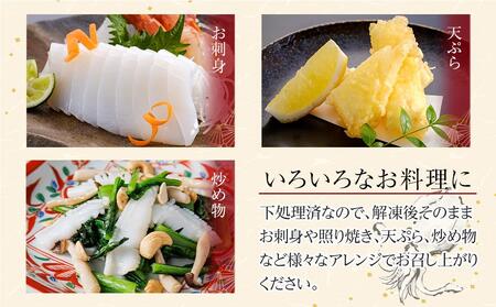 むきあおりいか 約3kg (1kg×3) 下処理済 冷凍 小分け【水イカ アオリイカ いか イカ イカ刺身 刺身 いかソーメン 天ぷら 香川県 讃岐 さぬき】