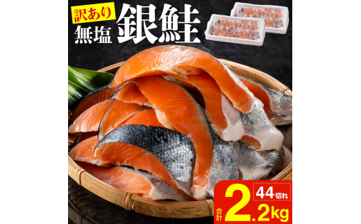 
【訳あり】銀鮭切身(打ち身、色飛び、カマ入)無塩タイプ 味付け無し 約2.2kg FC010292
