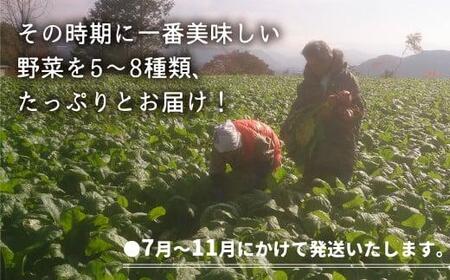 【先行予約】3回定期便　3か月定期便【野菜定期便 7～11月】 朝採れ 野菜セット 5～8種 | 自然栽培 おまかせ トマト ナス キュウリ ゴーヤ オクラ ネギ ししとう 冬瓜 ジャガイモ 玉ねぎ 