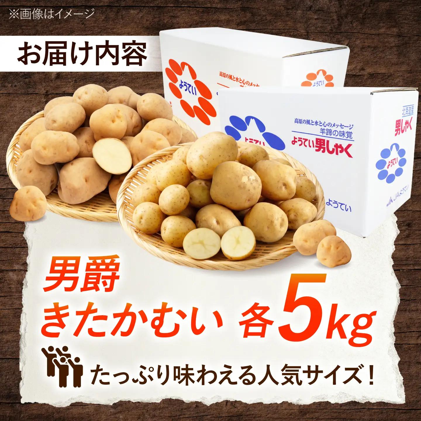 【2027年1月上旬以降順次発送】 じゃがいも 食べ比べセット（男爵・きたかむい）計10kg （5kg×2種） | じゃがいも ジャガイモ 男爵芋 きたかむい 北海道 産地直送 セット 先行予約 | 