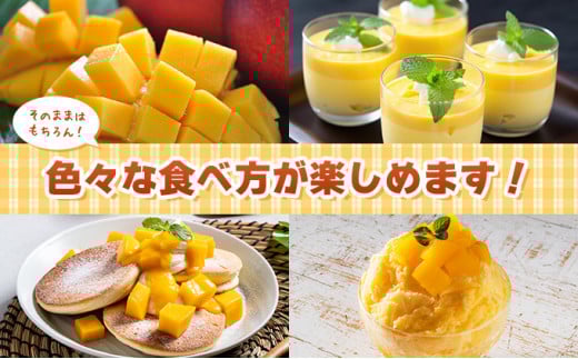 2026年 先行予約 アップルマンゴー 約2kg 4～6玉 セット 八重山マンゴー品評会総合1位を計3回獲得！高糖度保証！農園ファイミール 濃厚 果物 フルーツ 約2kg (4～6玉)