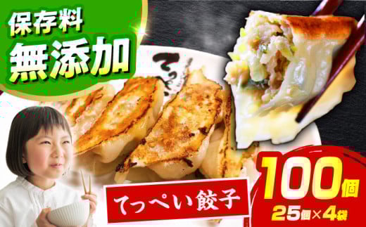 【選べる種類・容量】人気ラーメン店の本気の「てっぺい餃子」100個入り(小分け包装)【保存料無添加】【メディアでも話題:石田てっぺいラーメン店】 国産豚肉 餃子 ぎょうざ 冷凍 惣菜 おかず おつまみ 大容量 大阪府高槻市/無人屋 [AOCX006]