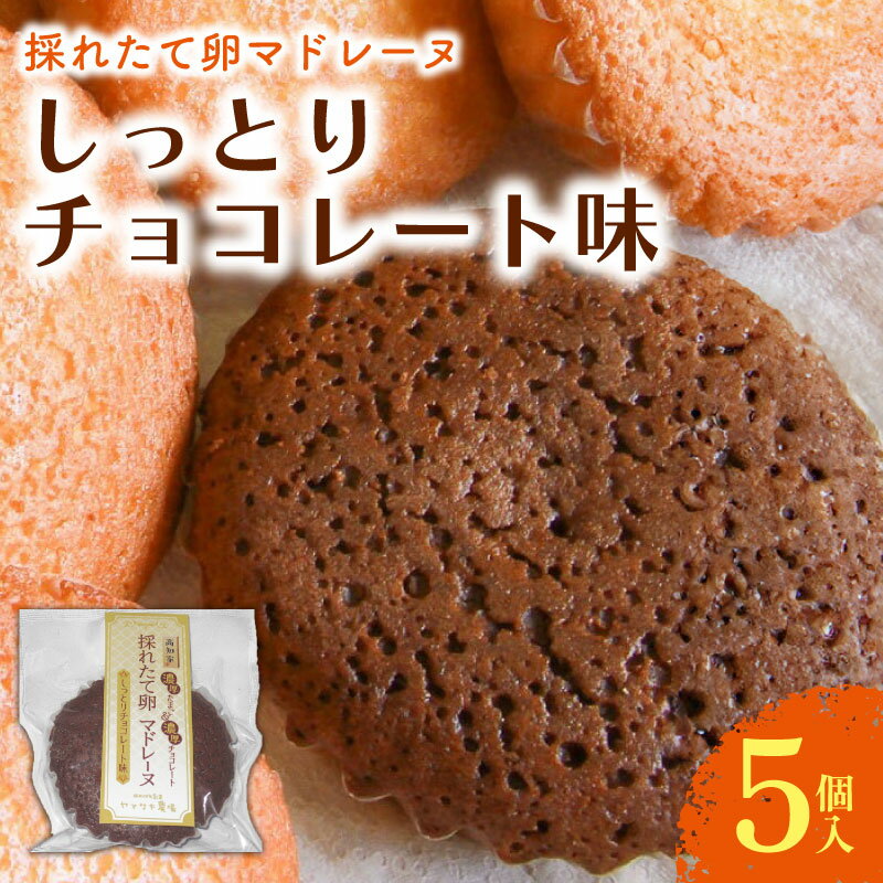 【ふるさと納税】 マドレーヌ しっとりチョコレート 5個入 チョコ チョコレート 焼き菓子 お菓子 おかし 家庭用 ギフト スイーツ 人気 おすすめ たまご 卵 高知県 南国市