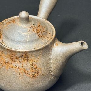 仁　18号炭化洋梨藻掛茶注（木）1-181｜陶器 やきもの 焼き物 手作り 谷川仁 職人 伝統工芸品 急須 常滑焼愛知県 常滑市