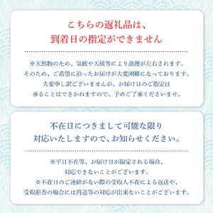 本場高知のカツオ まるごと１本（1.5kg～）※着日指定不可※鮮魚 鰹のたたき 刺身 お造り 煮魚 直送便【R00832】