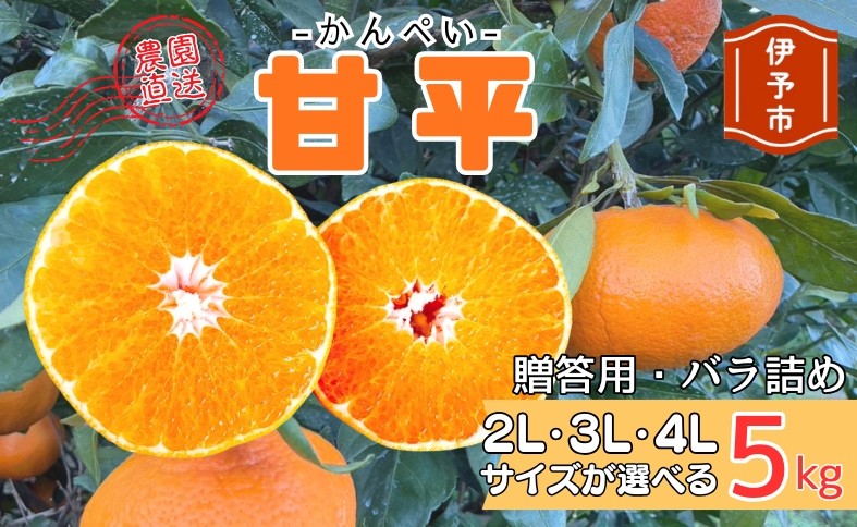 
                  【2027年先行予約】みかん 甘平 5kg 【選べるサイズ】 2L～4Lサイズ 贈答用 バラ詰め 【2027年2月上旬から順次発送予定】 農園直送 愛媛 数量限定 愛媛県産 人気 柑橘 伊予市
                