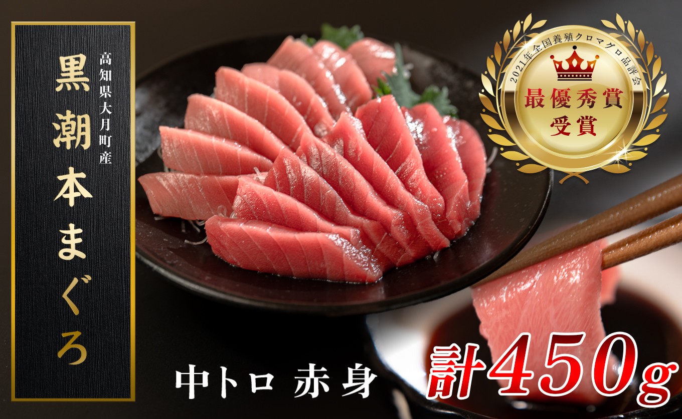
                  訳あり 不定貫 国産 養殖本マグロ 中トロ・赤身 2種 計450g 黒潮本まぐろ 全国養殖クロマグロ品評会 最優秀賞受賞 柵 刺身用 本マグロ クロマグロ 本鮪 まぐろ 鮪 お刺身 さしみ 中トロ トロ 赤身 海鮮丼 漬け丼 手巻き寿司 鉄火丼 まぐろ丼 小分け 個包装 真空パック 冷凍 不揃い 家庭用 海鮮 年末年始 高知県 大月町 1万5千円
                