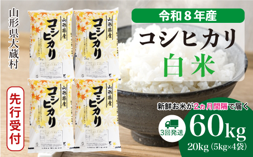 ＜令和8年産米先行受付＞ 令和9年5月下旬より発送  こしひかり【白米】60kg定期便(20kg×3回） 山形県大蔵村