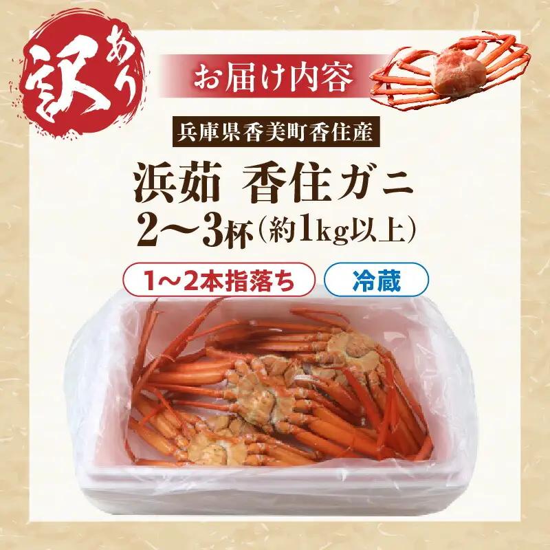 《訳あり》 浜茹で 香住ガニ 約1kg以上 【令和8年10月以降発送予定】 カニ かに 19-09