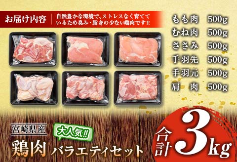 鶏肉 バラエティ セット 合計3kg 肉 鶏 国産 大満足 6種 もも むね ささみ 手羽先 手羽元 食品 真空パック ギフト 日南市トリ肉 送料無料 お肉だヨ!全員集合!!_BA56-23