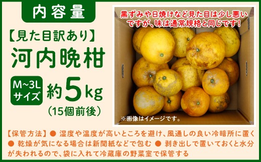 【先行予約】見た目だけが訳あり！吉本農園の木取り完熟愛南ゴールド（河内晩柑）約5kg＜柑橘 希少 果物 国産 フルーツ みかん 蜜柑 訳あり 家庭用 和製 グレープフルーツ ブランド 果実 ビタミン 愛媛県 鬼北町 ＞ ※2027年4月～発送