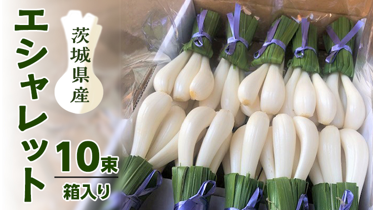 茨城県産 エシャレット （ 箱入り ・ 10束 ） 野菜 旬 料理 漬物 炒め物 新鮮野菜 珍しい 野菜 やさい 変わった 野菜 綺麗 飾り アクセント [AM154us]