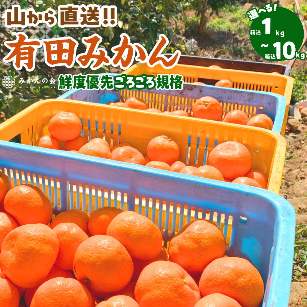 【ふるさと納税】【先行予約】選べる配送 みかん 訳あり 山から直送 箱込 1kg ～ 10kg ( 内容量約 0.9kg ~ 9.2kg ) 鮮度優先ごろごろ規格 和歌山県産 産地直送 家庭用 わけあり みかんの会　【2025年11月中旬以降発送】 | 人気 おすすめ 送料無料