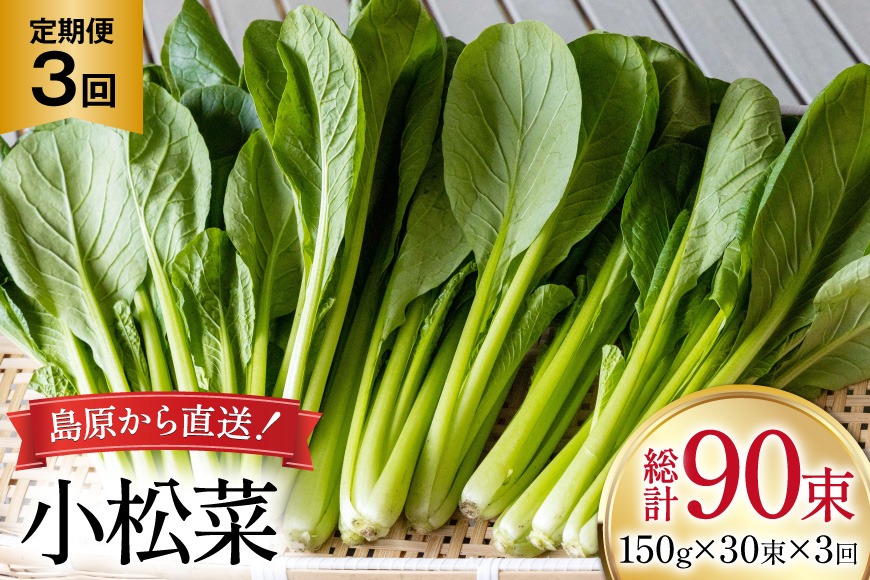 BI332 定期便 3回 小松菜 30束 [ 野菜 こまつな やさい 冷蔵 葉物野菜 田中農園 長崎県 島原市 ]
