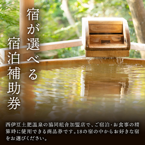 静岡 伊豆 土肥温泉 旅館協同組合 商品券（300,000円分）【宿泊券 宿泊 温泉 温泉宿 旅行 旅行クーポン お食事券 協同組合 静岡県 伊豆市】