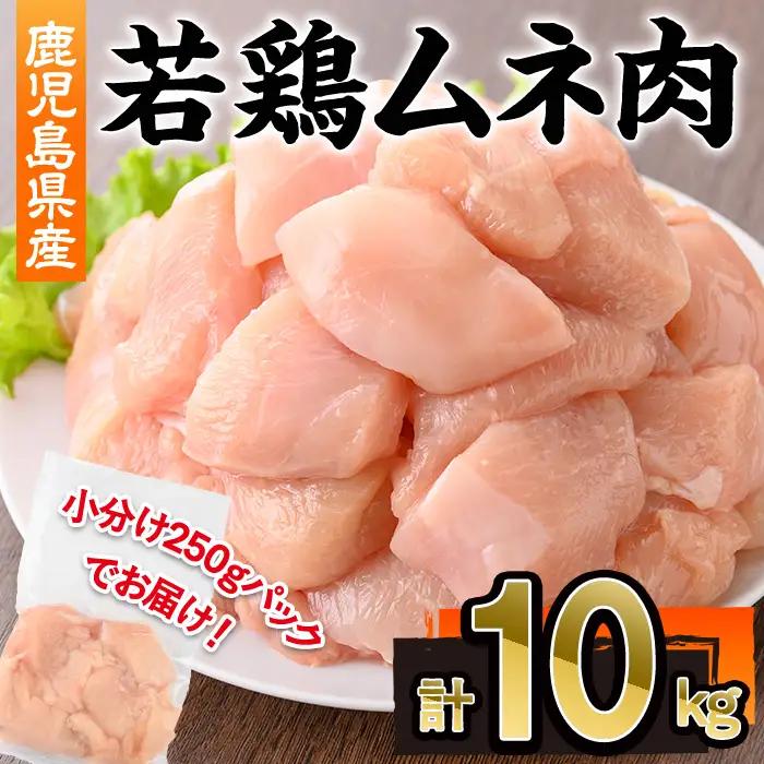 鹿児島県産 若鶏 ムネ肉 (計10kg・250g×40P)  冷凍 【株式会社羽根】A1091