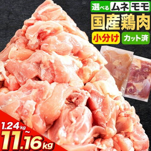 【ふるさと納税】鶏肉 小分け 発送時期 も選べる 鶏肉 鶏肉 もも肉 or むね肉 or ハーフセット うまみ鶏 カット 若鶏1.24kg〜11.16kg《7-14日以内に出荷予定(土日祝除く)》定期便ありふるさと納税 肉 鶏肉 鶏 鶏モモ 鶏ムネとり肉 訳あり 冷凍 もも肉 簡易包装 送料無料