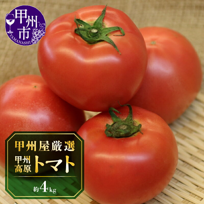 【ふるさと納税】 トマト 2026年 先行予約 甲州高原 神金産 約4kg 16〜30個 高原 露地栽培 季節限定品 新鮮 野菜 青果品 野菜類 8月 9月 10月 発送 甲州市 【B-405】
