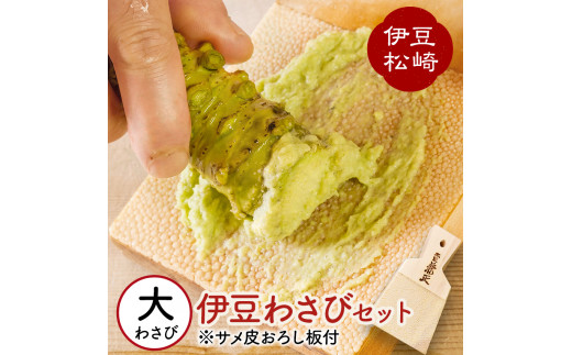 伊豆のわさびセットＥ　　　　ワサビ 本わさび わさび丼 刺身 お寿司 肉 そば 焼酎 ご飯 おにぎり 薬味 ギフト プレゼント 取り寄せ 御中元 お歳暮 産地直送 静岡県 松崎町 伊豆