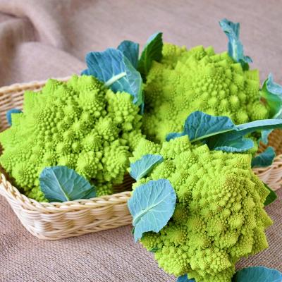 ふるさと納税 御所市 多品目栽培農家の、個性豊かな野菜おまかせつめあわせセット |  | 01