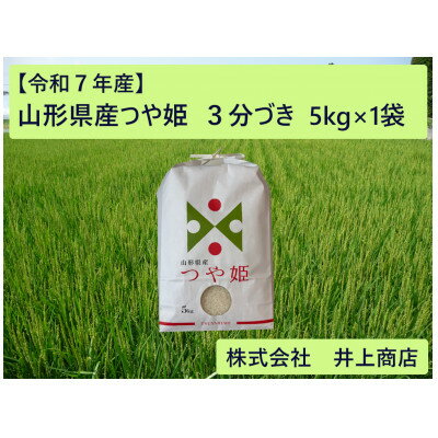【ふるさと納税】令和7年産山形県産つや姫　3分づき5kg×1袋【1728613】