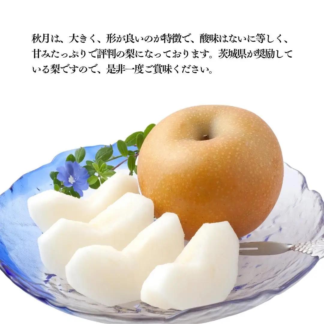 【2026年9月中旬発送開始】 茨城県産 梨 「 秋月 」 約 3kg 5玉 ～ 7玉 【茨城県共通返礼品／常陸太田市】 桧山果樹園 農家直送 桧山果樹園 農家直送 フルーツ  甘い 直送 茨城 限定