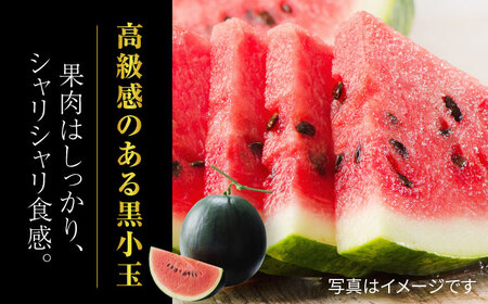 【先行予約】【数量限定】黒小玉すいか 4玉 2Lサイズ 【株式会社 前田ファーム】[ZCM010]
