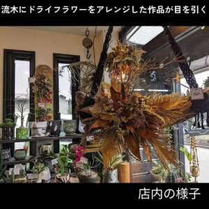 ドライフラワー【額】フラワー アレンジメント 花束 フラワー ギフト オリジナル 母の日 女性 インテリア 花 アレンジ 飾り おしゃれ 人気 高級 玄関 プレゼント