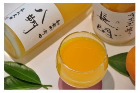 202. 【数量限定】有田市認定みかんジュース「長閑(のどか)」&「八朔ジュース」セット（計2本）(B202-1)