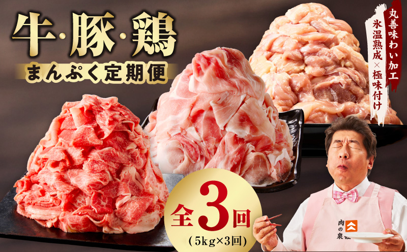 国産 牛肉＆豚肉＆鶏肉 まんぷく 定期便 5kg×3回【氷温熟成×極味付け 3種 食べ比べ 普段使い 味付き 小分け 訳あり サイズ不揃い 大阪 泉佐野 大阪府 泉佐野市】