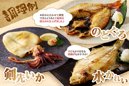 訳あり 干物 おまかせセット 干物 詰め合わせ 【033_1776】