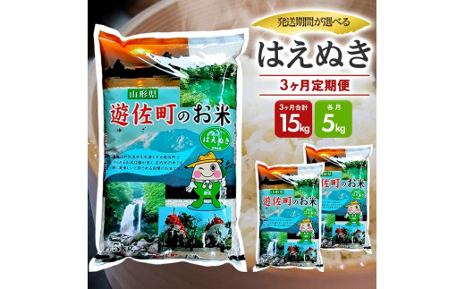 1364T03　【定期便】遊佐産はえぬき5kg×3ヶ月連続（3月～5月）