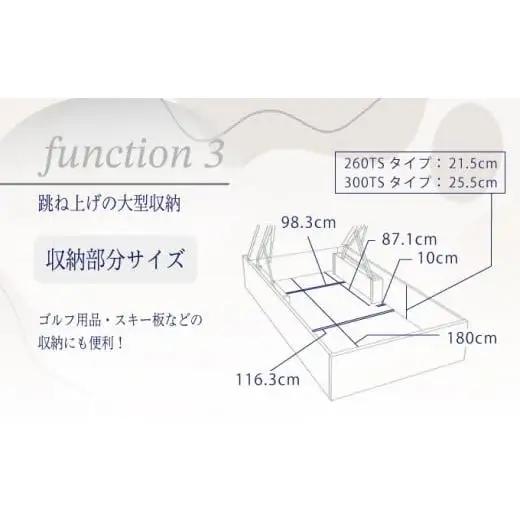 フランスベッド BG-001（跳ね上げ収納タイプ 260mm）上峰町オリジナルマットレス付き　セミダブル T-121