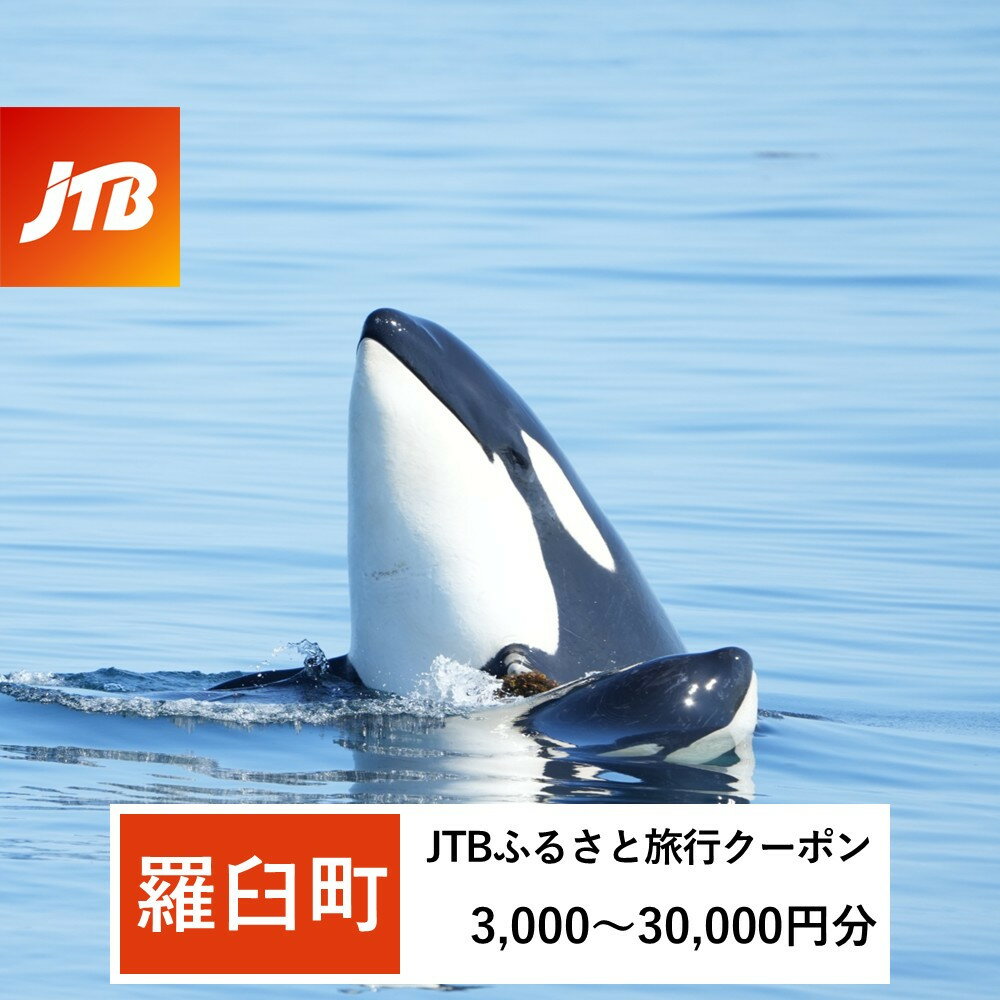 【ふるさと納税】【羅臼町】JTBふるさと旅行クーポン（Eメール発行）（3,000円分～30,000円分）