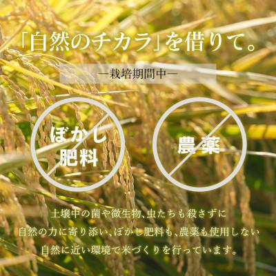 ふるさと納税 足利市 のりちゃん米 玄米(にじのきらめき)10kg<栽培期間中 農薬・肥料不使用> |  | 02