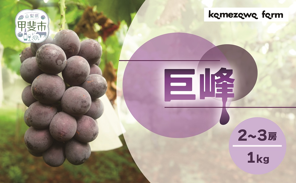 山梨県甲斐市産　化学肥料不使用で育った巨峰　約1㎏ DG-4