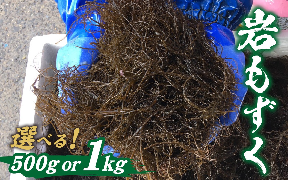 
                  【先行予約】【選べる容量】とれたて！！厳選岩もずく0.5kg ～ 1.0ｋｇ｜ 新鮮 お造り 刺身 晩酌 食卓 BBQ 【2026年5月下旬ごろ順次発送】
                